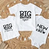 Family Siblings Matching Clothes Big Brother Again Big Sister Again New To Be Crew Print Kids T-shirts Newborn Cotton Bodysuits 1