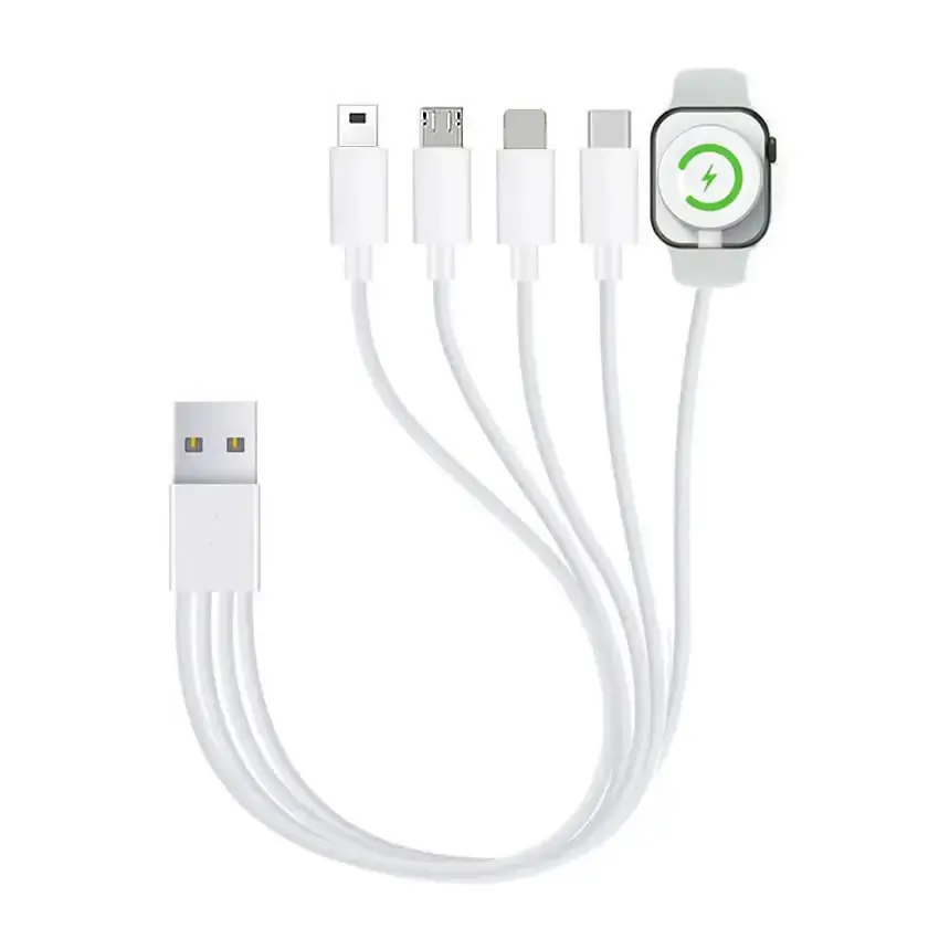 Versatile 5-in-1 Magnetic Charging Cable