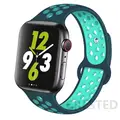 Turquoise Green 50