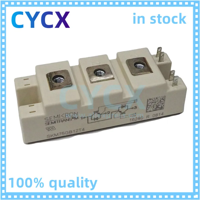 

SKM100GB12T4 SKM75GB12T4 SKM75GB123D IGBT Module Original Spot Bargaining