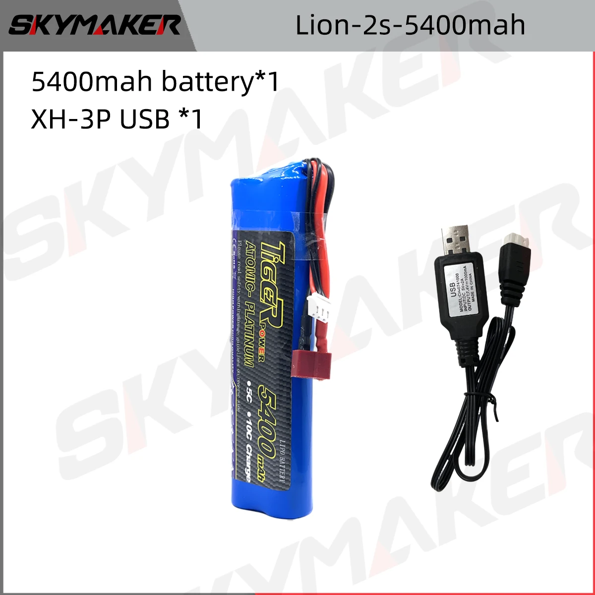 Lion-2s-54001B-1LX3