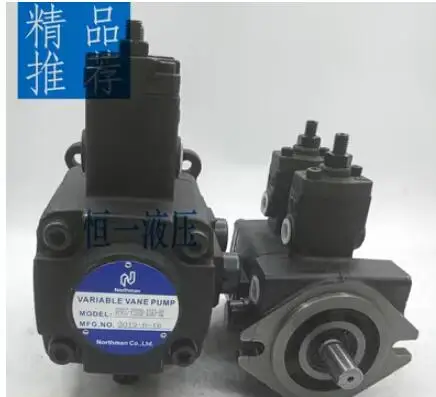 

Northman double-pump VP20-20-FA3 VP30-30-FA3 VP40-40-FA3