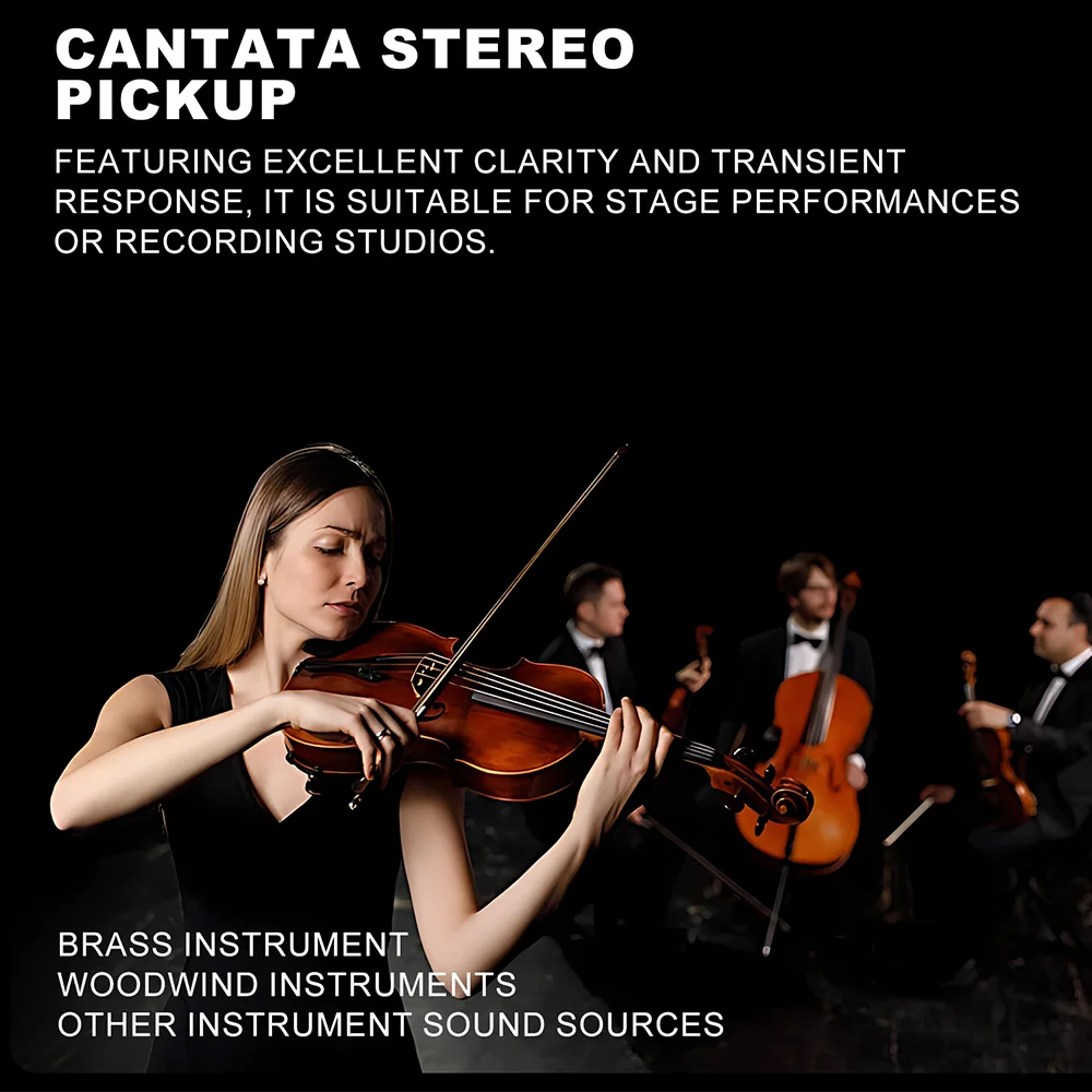 C02 One Pair Pencil Condenser Microphone Small-Diaphragm Suspension with Clip Piano Recording Mic Instrument Record Pencil Type