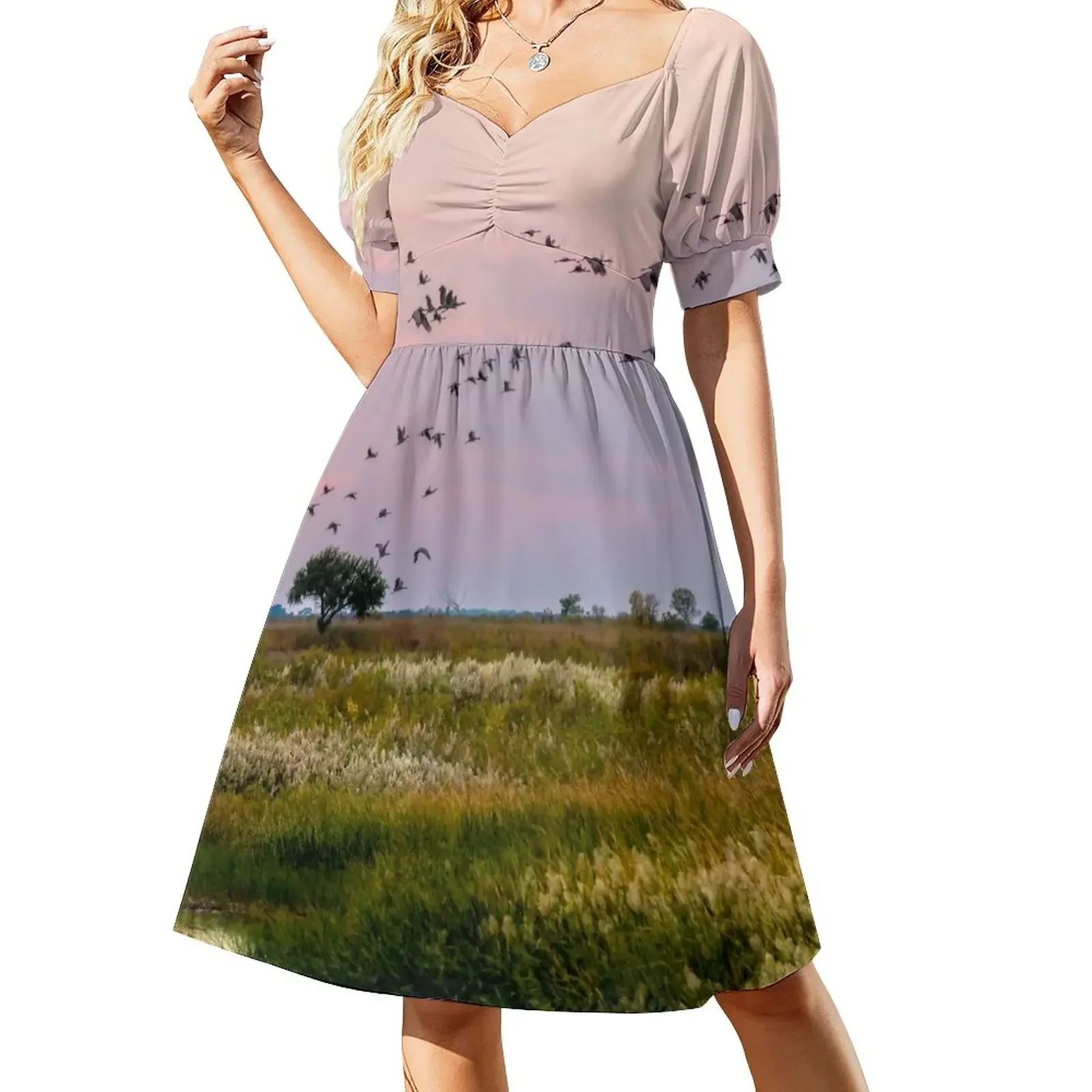 

Early Morning With the Sandhills by Debra Martz Sleeveless Dress summer dress for women 2024 prom dresses