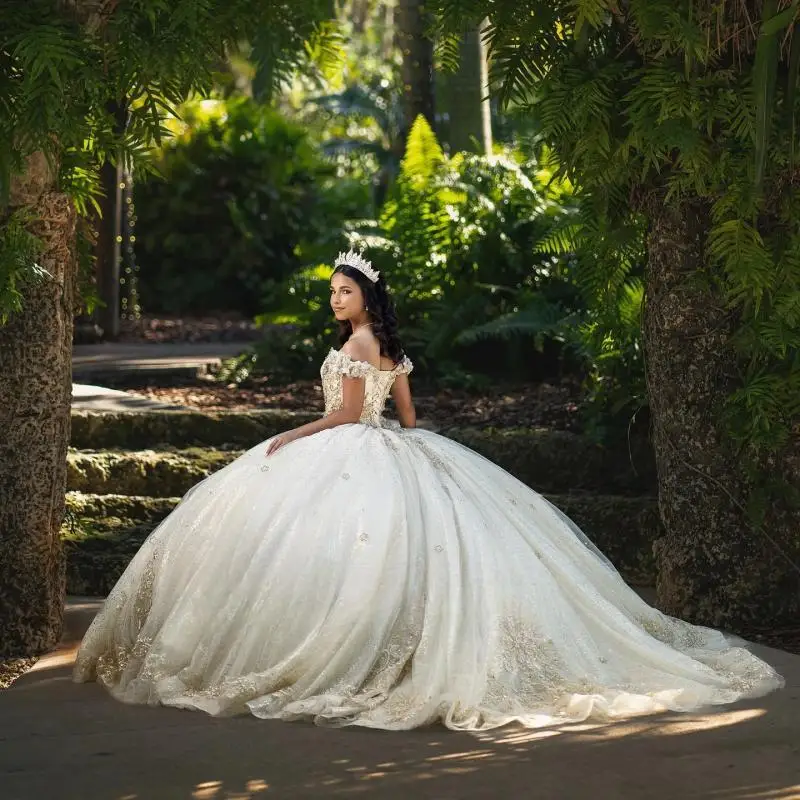     Quinceanera 巹   ũŻ ̽ ø Ʈ Ʈ 15 Anos Vestido