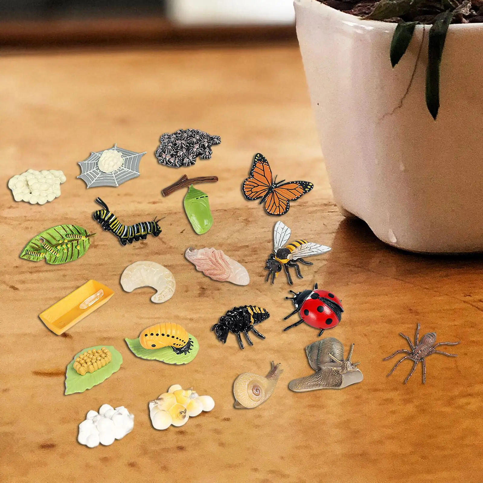 

Фигурки насекомых с жизненным циклом, научные познавательные обучающие игрушки, школа для детей