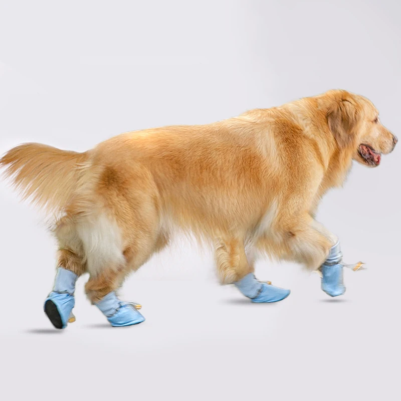 Simple Shoes For Dogs - Can Wear 4 Seasons