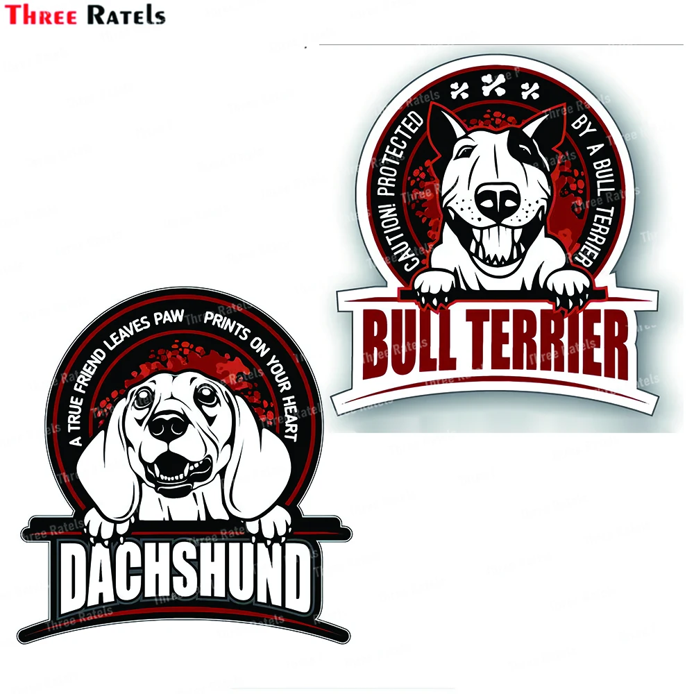 Three Ratels J746 BULL TERRIER Warning Sign Sticker Popular Ebay Decal Funny Car Warning Sticker Decals aliauto funny warning car sticker danger can t climb the fence pvc cover scratch decoration decal accessories 13cm 13cm