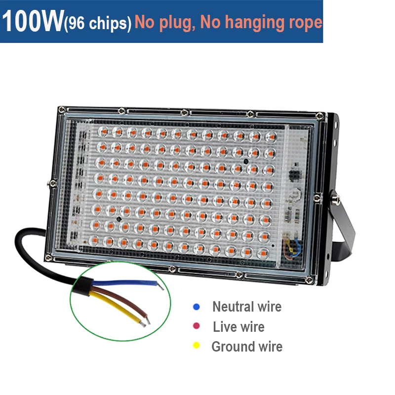 100W No Plug