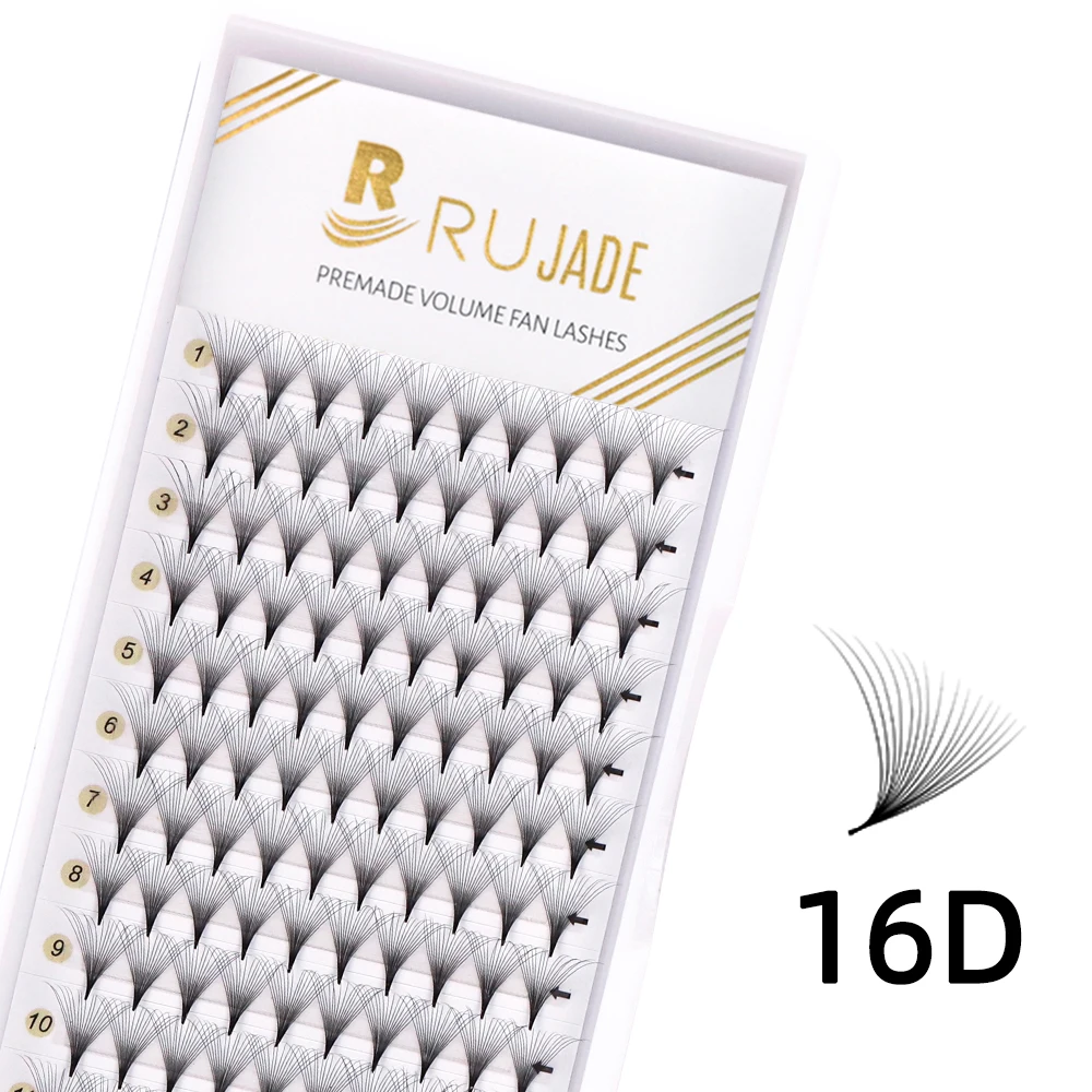 16D (120 fans)