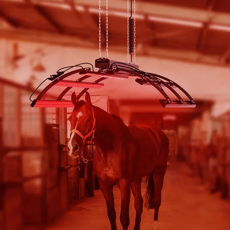 Stabile Cavallo Terapia Per Tutto Il Corpo Solarium Pony Light Therapy Red Infrared Horse Light Horse Solarium