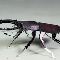 Creativity 3D Metal Puzzle Insects Assemble Model Colorful Stag Beetle Jigsaw Puzzles Toys for Kids DIY Handmade Adults Gift 1