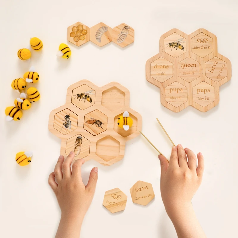 

Montessori Animals Life Growth Cycle Board Set Kid Teaching Tools Pinch Life Skills For Baby Educational Preschool Cognitive Toy