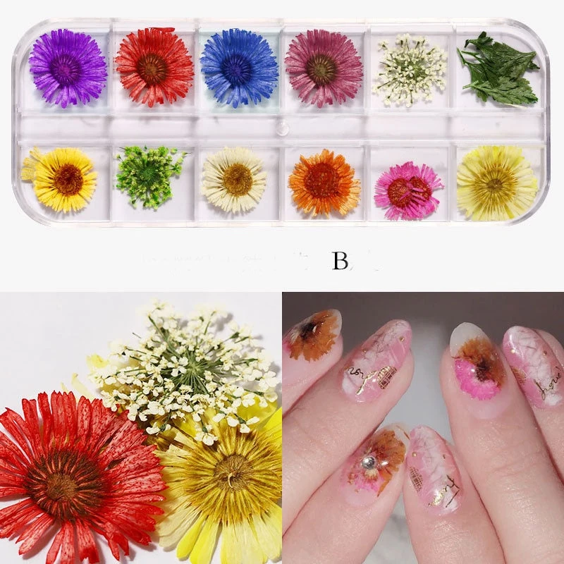 12 Styles Dried Flower Nail Decorations Natural Floral Mixed 3D Nail Art  Flower Stickers DIY Nail Art Accessories Nail Decor Z-3 - AliExpress