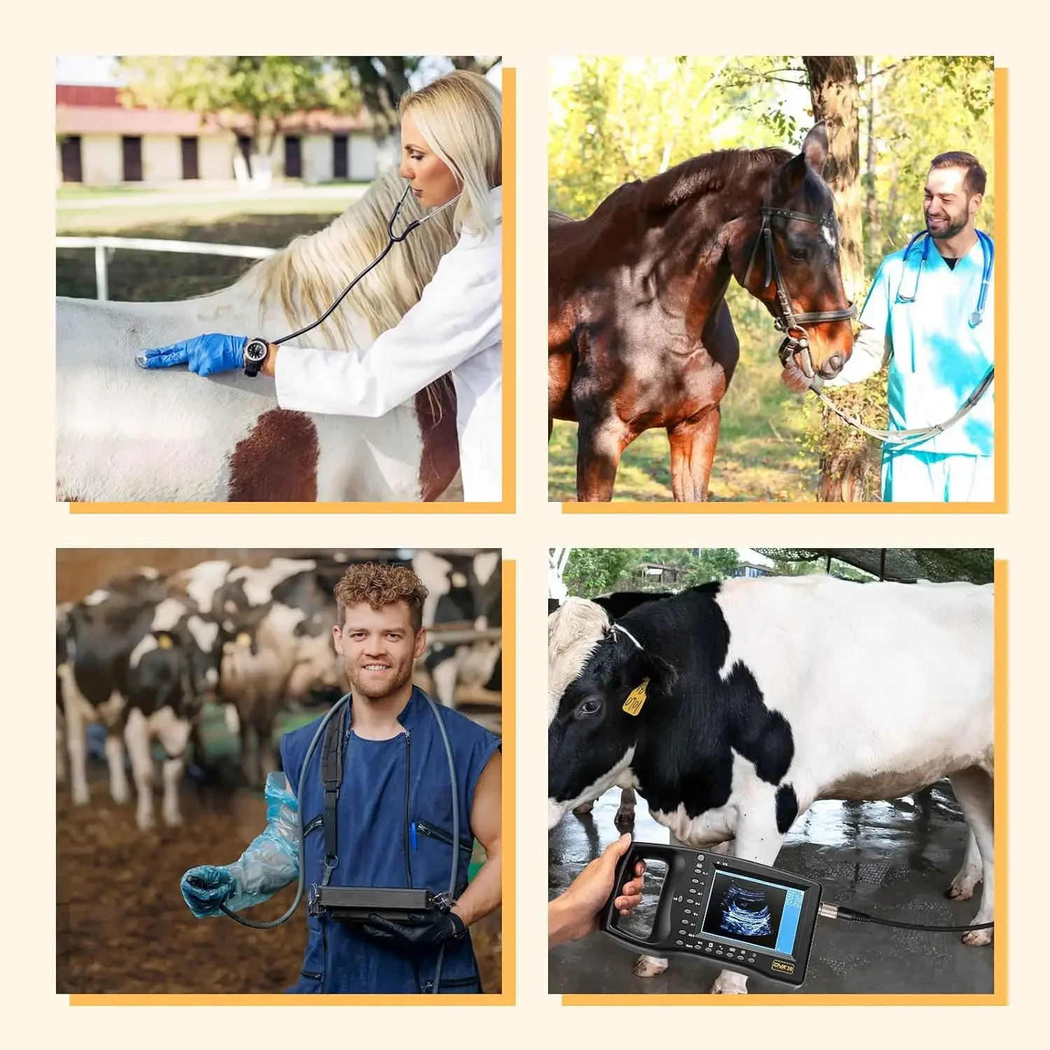Portable Veterinary Ultrasound Scanner for Pregnancy Dog Sheep Pigs Vet Handheld Scanner with 3.5Mhz Mechanical Probe 6