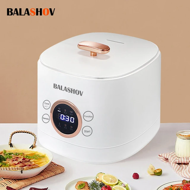 Cuiseur à riz électrique multifonction antiadhésif, multicuiseur, simple,  double couche, petite machine de cuisson, cuisine, maison, 220V, 1,5 L -  AliExpress