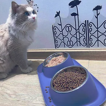 Stainless Steel Double Cat Dog Bowl Cat Food Container Plastic Non-slip Base Pet Water Feeder Tilt Safeguard Neck Puppy Cat Bowl 5