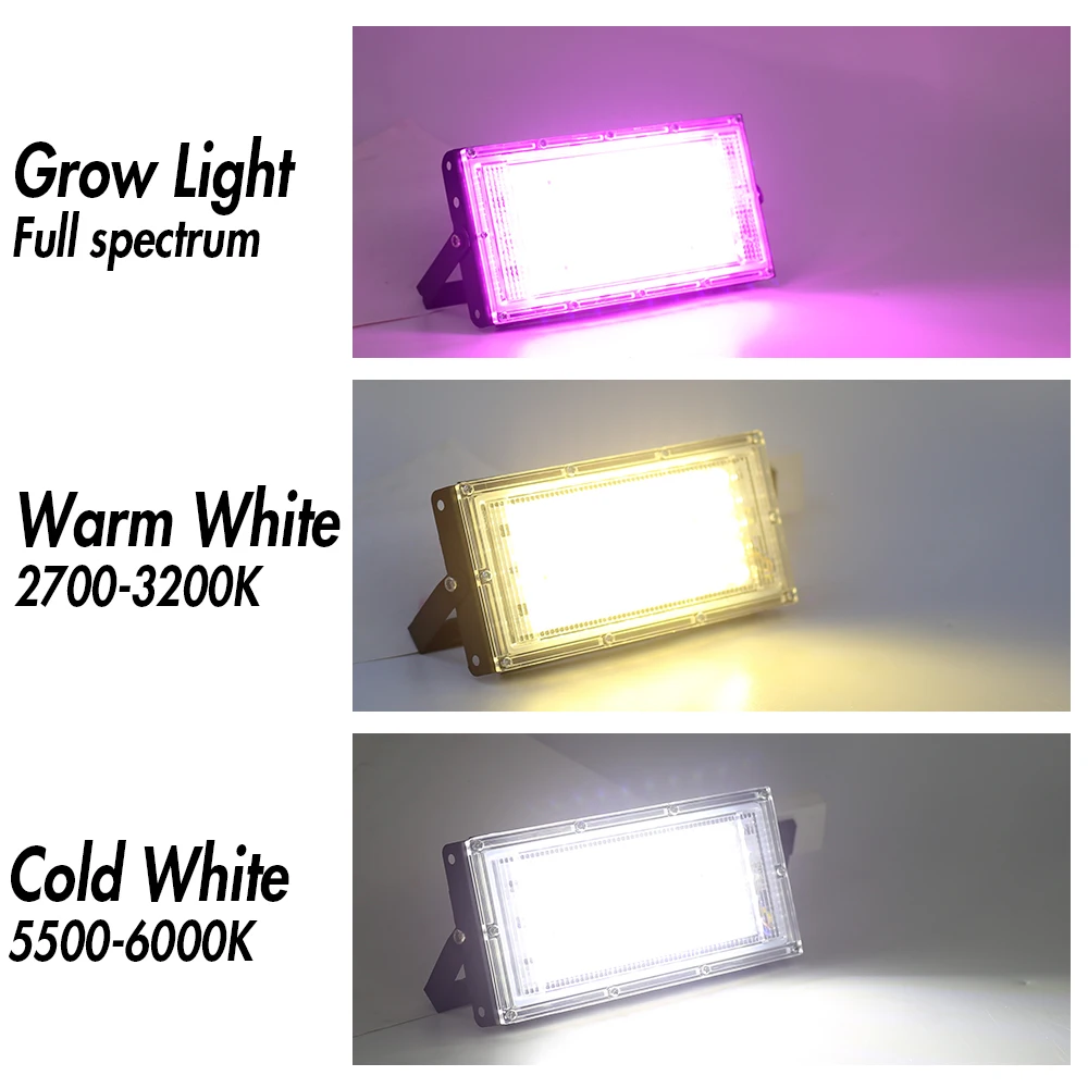 Slide image f9d238c0662048cc9b25f45aeb44022e