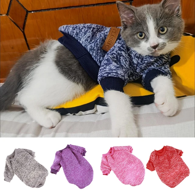 Winter Warm Sphynx Cat Clothes Puppy Kitten Knitted Sweater Hoodies For  Sphinx Small Dog Cats Clothing Chihuahua Pug Costumes - AliExpress