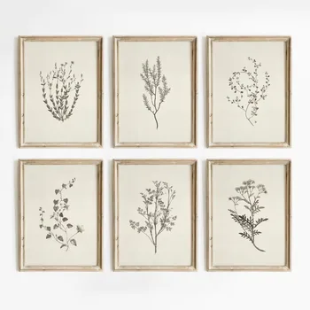 Vintage Botanical Canvas Print 1
