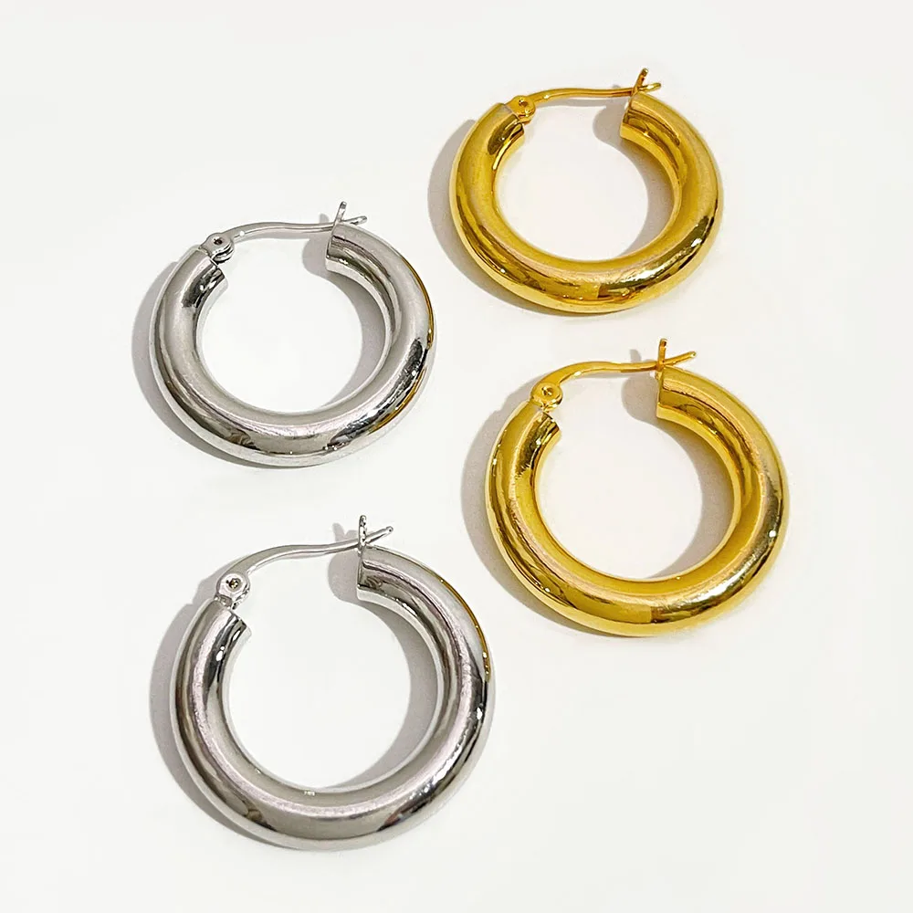 Hypoallergenic Silver Hoop Earrings Gold Earrings Hypoallergenic