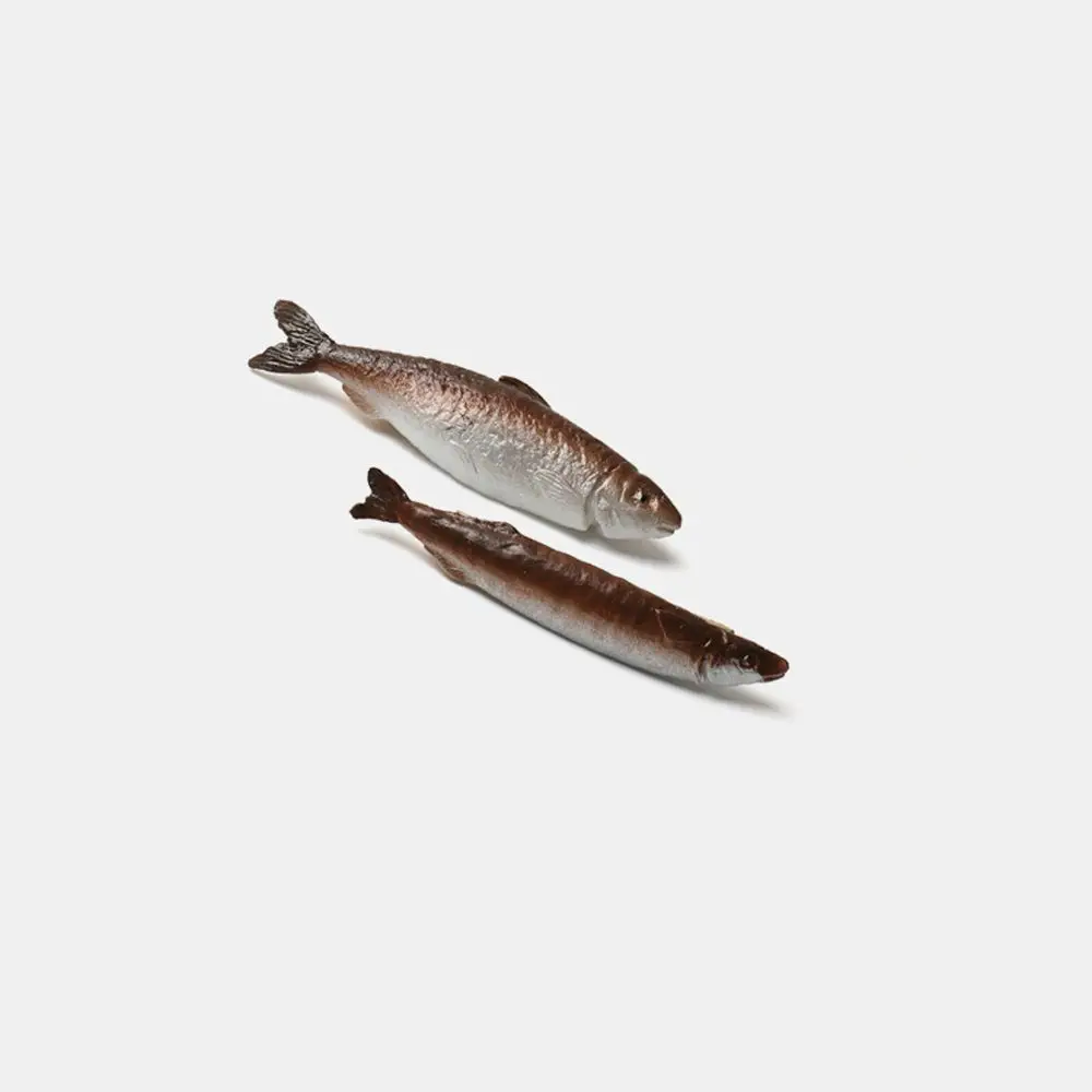 Unique Lifelike Simulated Salted Fish Hairpin Personality Funny Three-dimensional Fish-Dried  Hairgrip Creative Cute Headdress floral dried