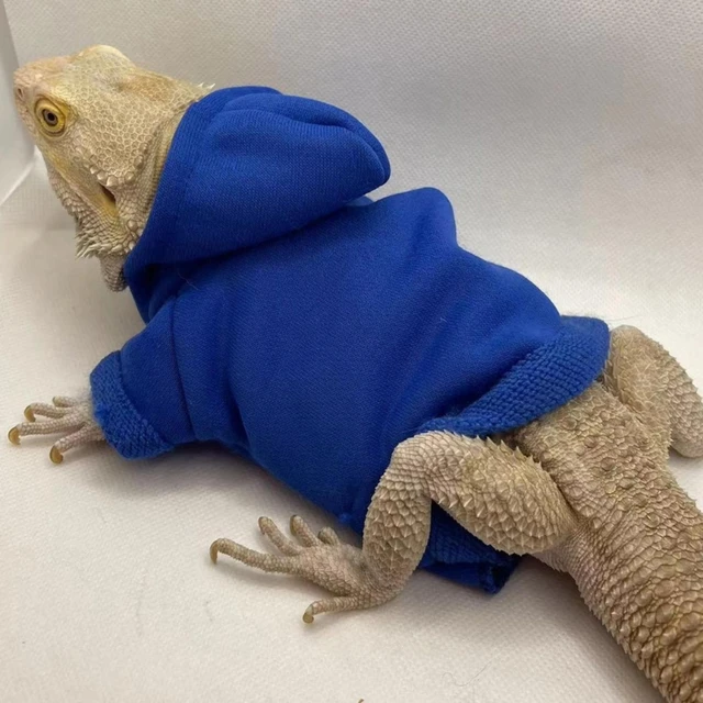 Bearded Dragon Clothes Costume Accessories Apparel Clothing Hand-made Warm Coat Hoodies Jackets for Small Animal Geckos 3