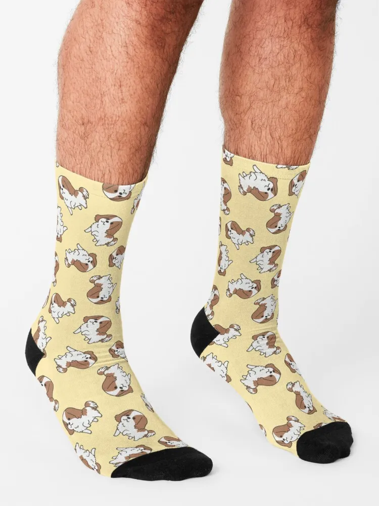 King Charles Spaniel Pattern Socks kids socks black socks Men Socks Women's