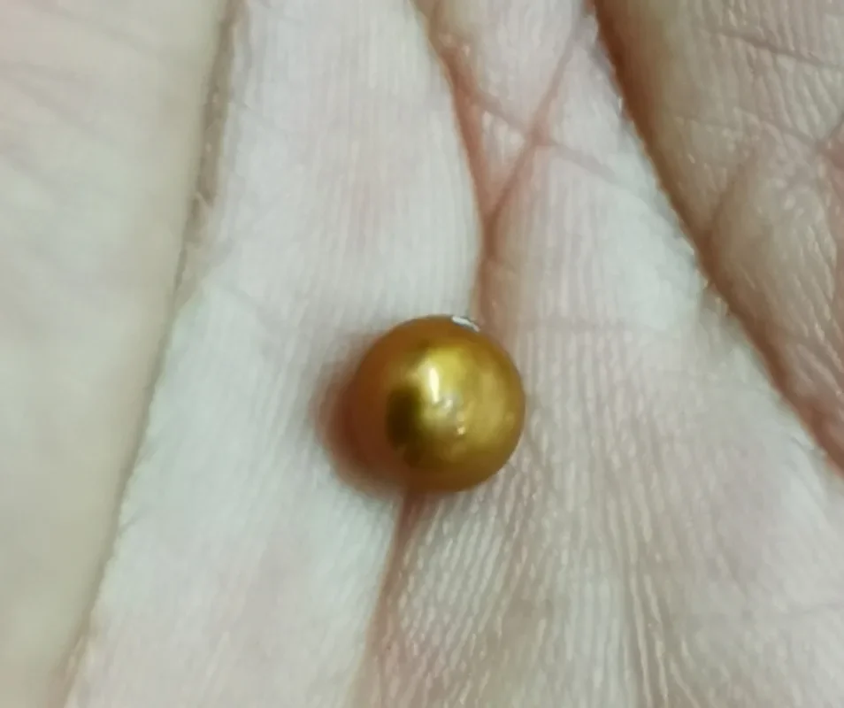 Around 7.12x4.811mm champagne gold bottom loose pearl full drilled for necklace earring bracelet pendant