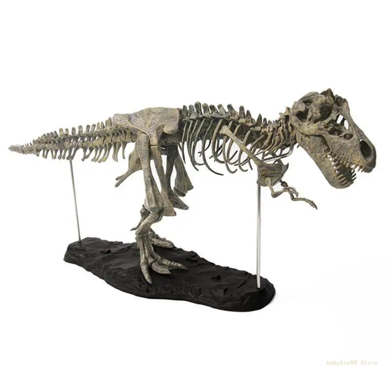 

Y4UD 27’’ Simulation Dinosaur Skeleton Figurine PVC Model Collector Tyrannosaurus Dino Interactive Automobile Home Decoration