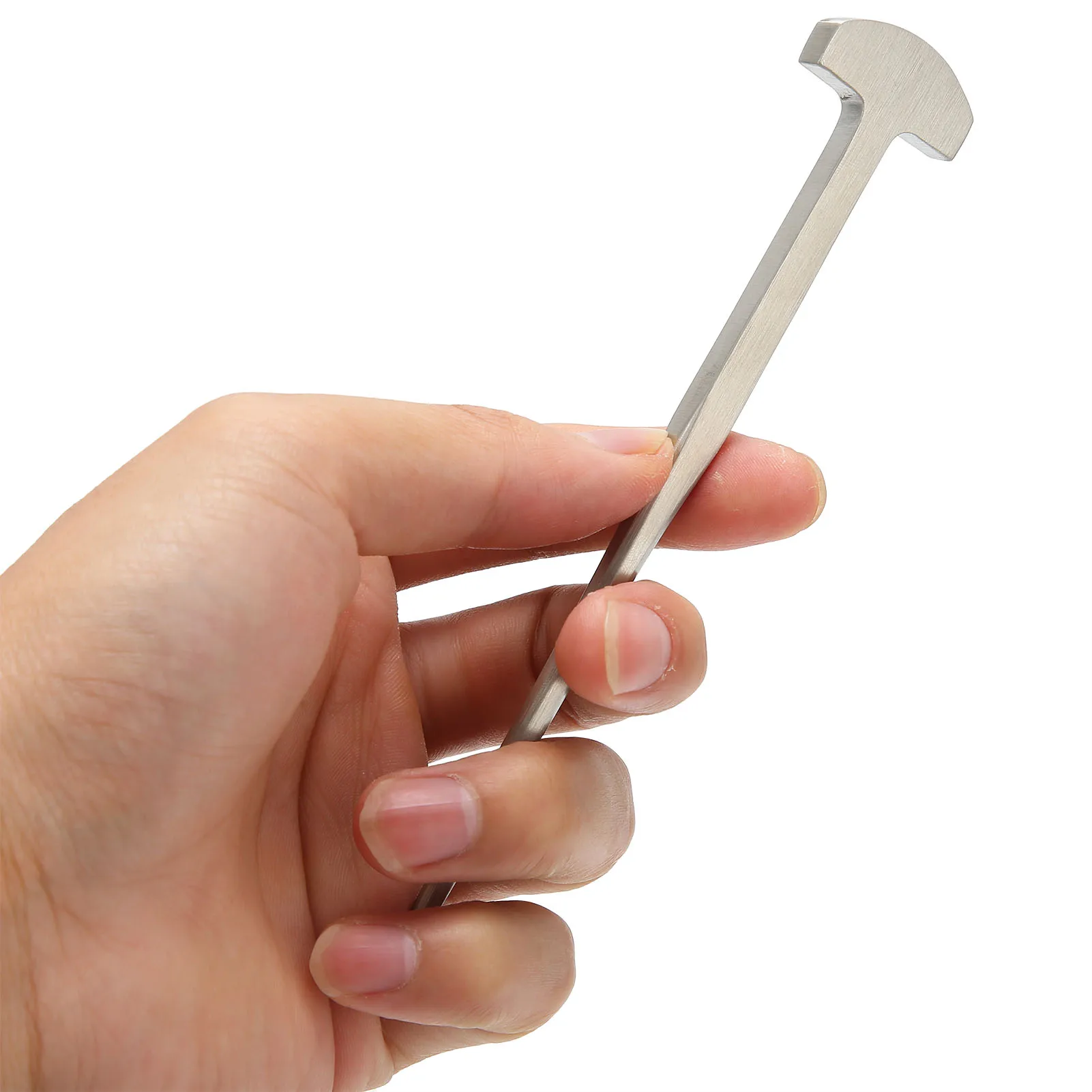 fish eel nail spike Japanese Style Fish Eel Nail Eel Spike Kitchen Restaurant
