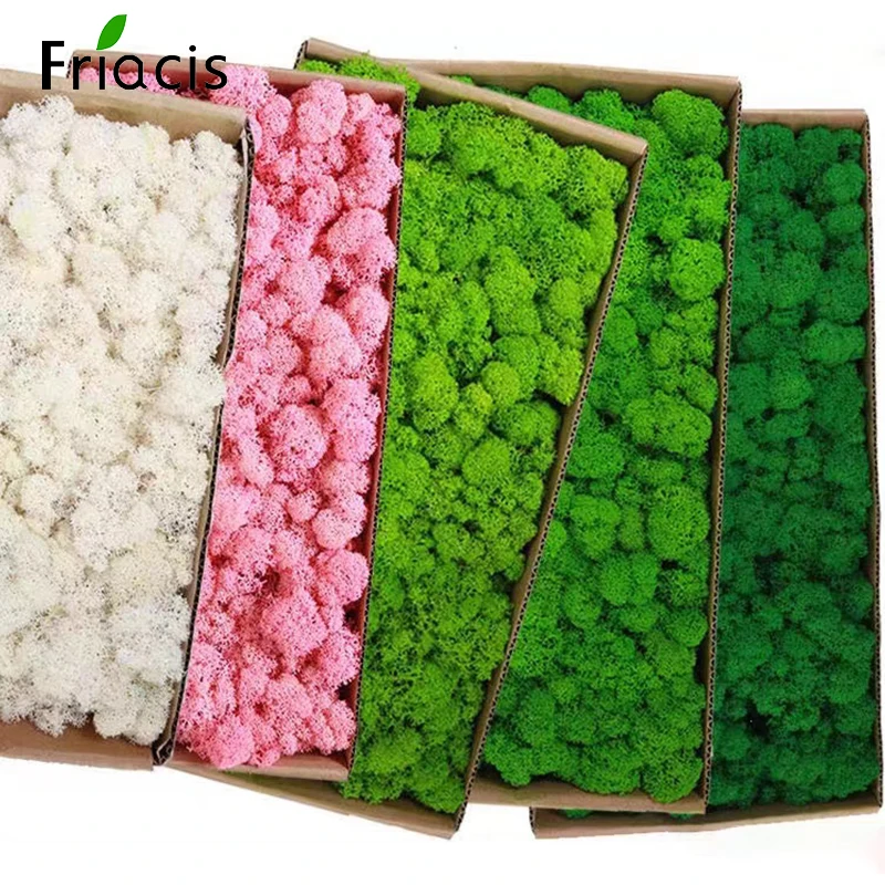 Eternal Life Artificial Moss - Decorative Greenery