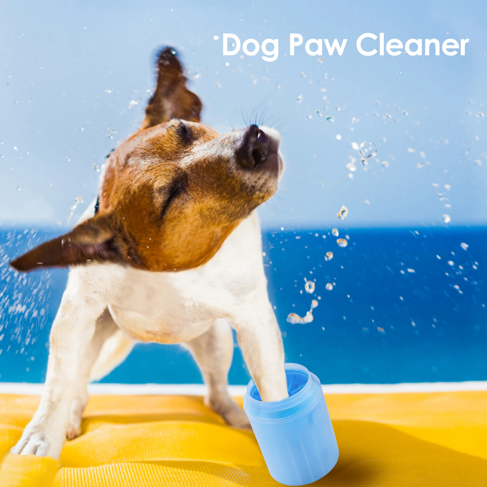 How Do I Keep My Dogs Feet Clean