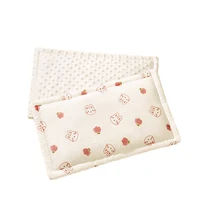 AIBEDILA Newborn Pillow Pad Cotton Bean Velvet Cartoon Pattern Flat Pillow 0-1T Bebe Baby Anti Vomiting Pillow Pad 2
