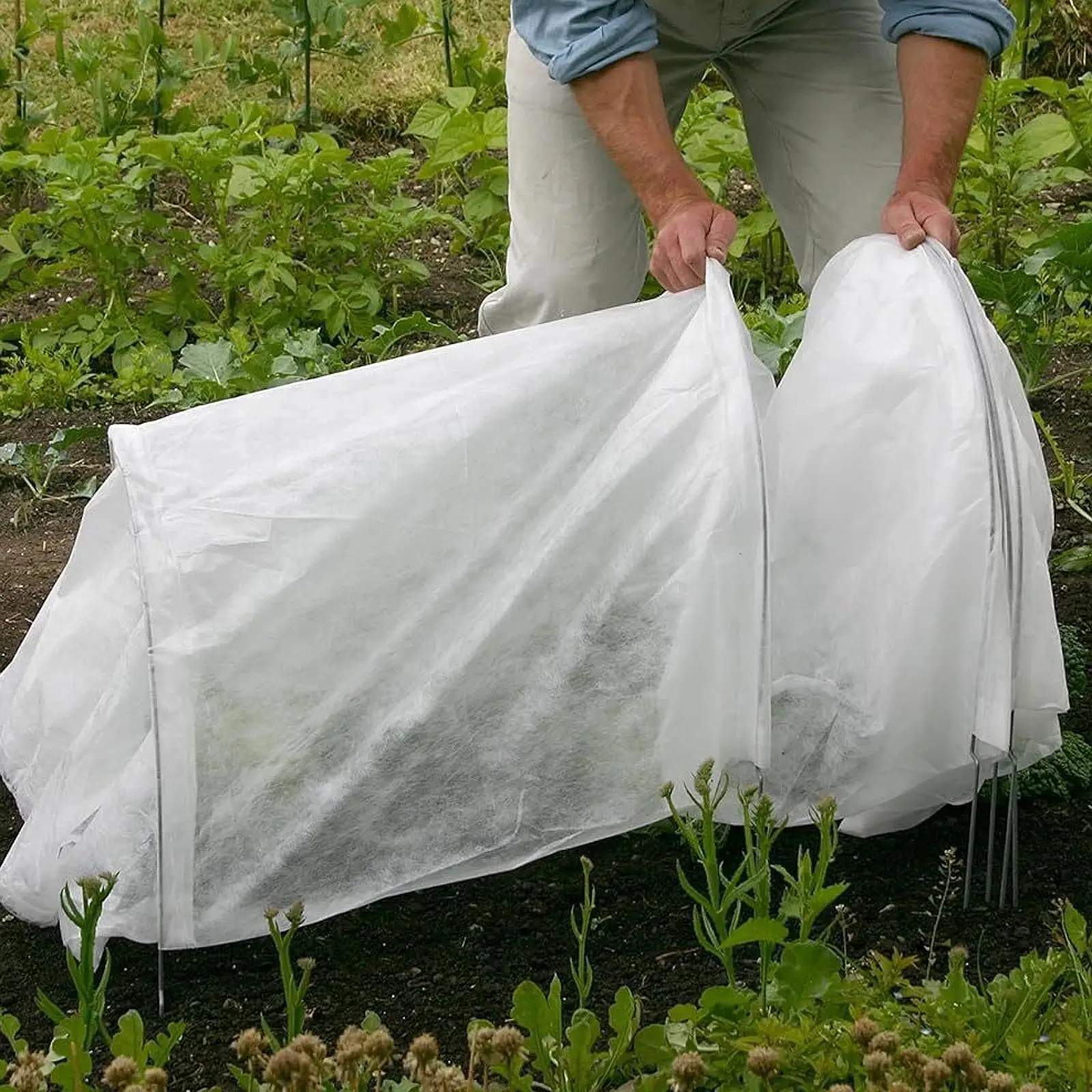 Mini drivhustunnel hageklokke tunneldeksel allsidig drivhus bøyle plantedeksel for hagearbeid frukt utendørs blomster Mini Greenhouse Tunnel Garden Cloche Tunnel Cover Versatile Green Houses Hoop Plant Cover for Gardening Fruit Outside Flowers