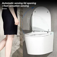 Wall-Hung Automatic Lid Flip Smart Toilet Seasonal Temp Control Built In WaterTank Toilet RemoteControl Heated Seat Auto Flush 4