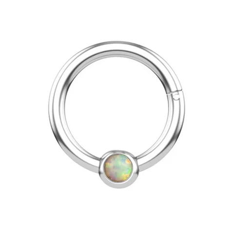 Nose Ring Hoop Septum Piercing Hinged Segment Clicker Surgical Steel Ear Cartilage Earrings Tragus Helix Daith Body Jewelry