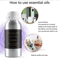100ml Essential Oil For Aroma Diffuser Hotel Air Freshener Scent Machine Waterless Diffuser Room Fragrance 2