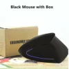 Black Mouse and Box