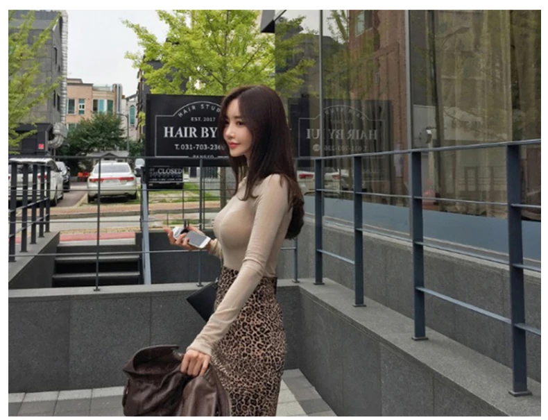 2026 Koreanische Dongdaemun Frühjahr Neue T-Shirt Sexy Sheer Engen Rollkragen Basis Schicht Tops Vielseitig Dünne Langarm Tops für Frauen – Detail 9