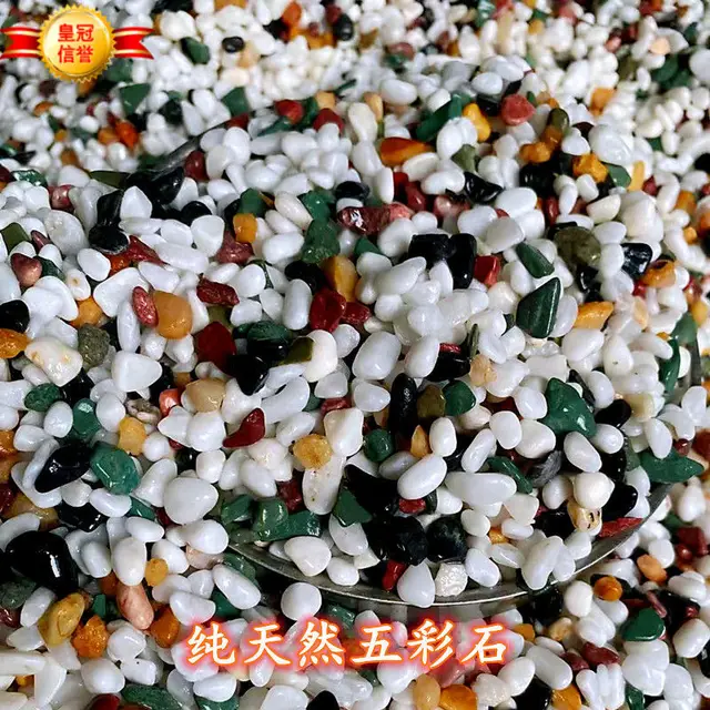 500 G Természetes Esővirág Színes Kő Cserepes Zamatos Járda Gyönyörű Haltartály Tereprendezés A Dekoratív Nem Halványul - Image 2