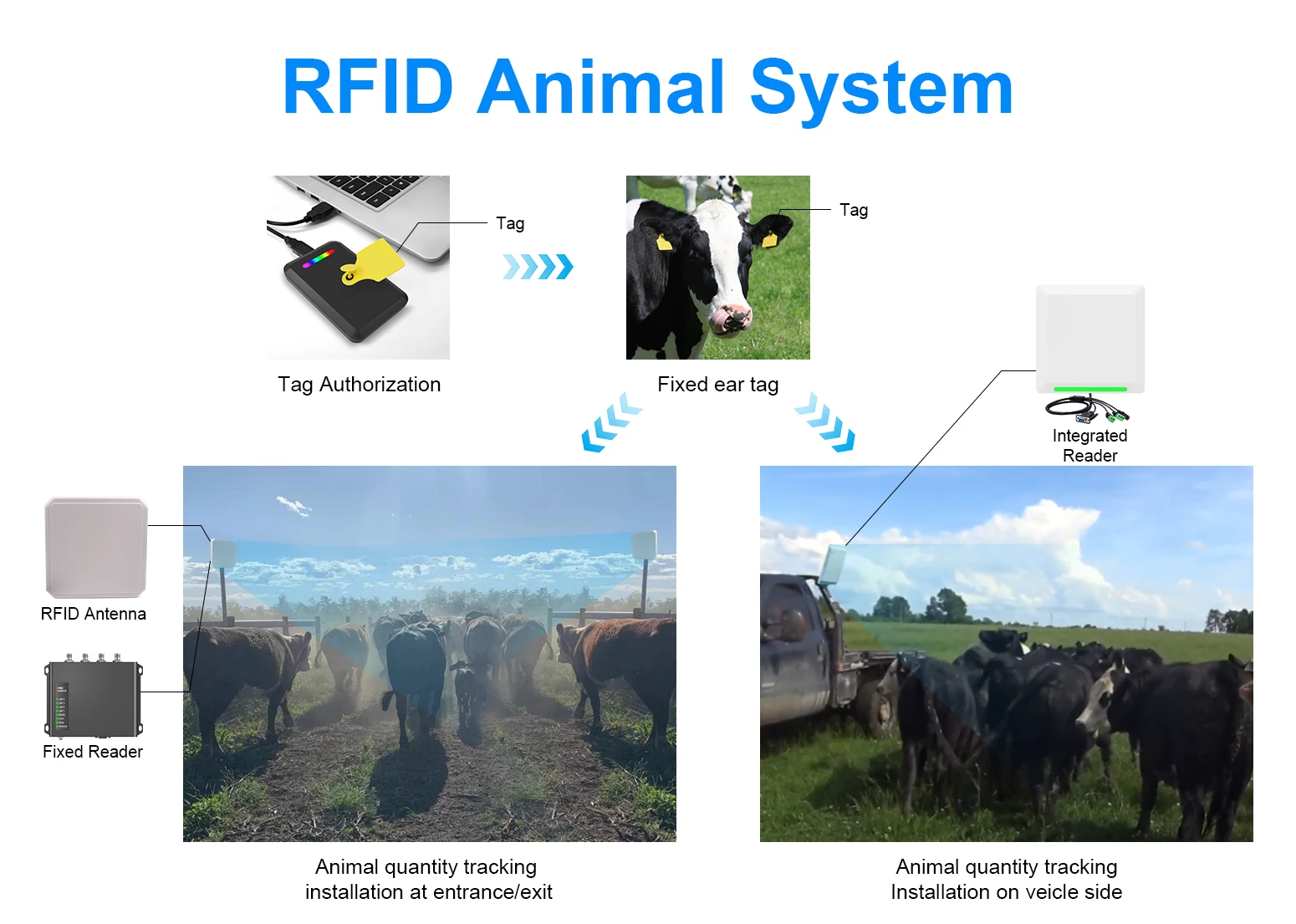 RFID 동물 관리 솔루션 핸드헬드 리더 안테나 및 태그 포함 무료 SDK-액세스 컨트롤 제품