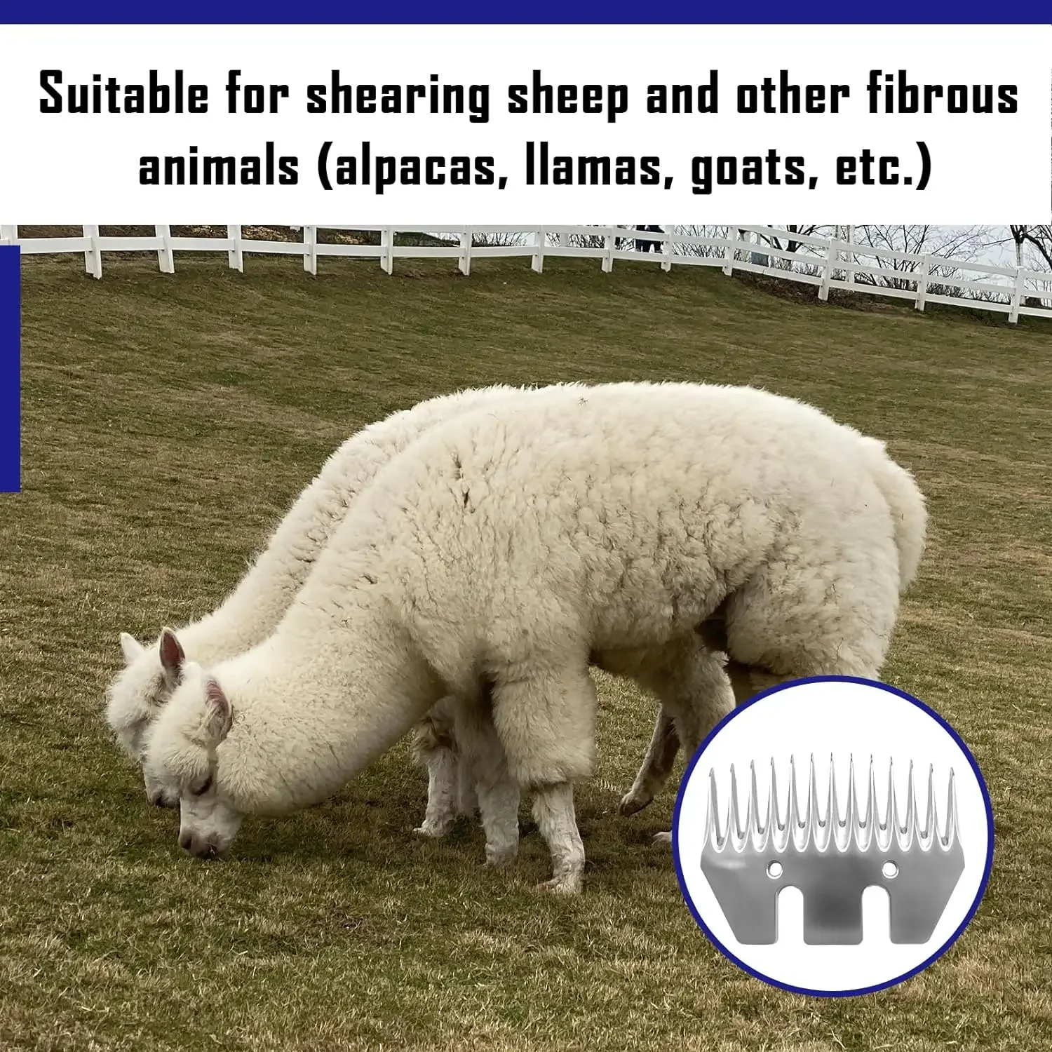 13 Tooth Shearing Replacement Blades for Sheep Clippers