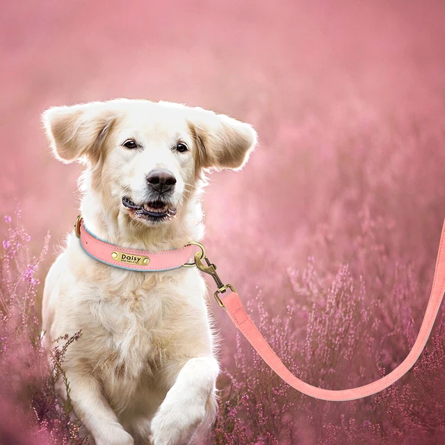 5ft Leather Dog Leash Durable Pet Walking Training Lead Leash Rope for Small Medium Large Dogs Pitbull Pug erman Shepherd 5