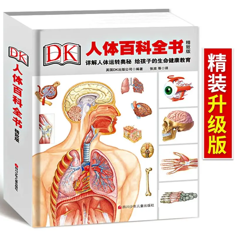 

DK Human Body Encyclopedia Children's Hardcover Edition Massive Pictures To Reveal The Structure of Our Body Bones Books for Kid