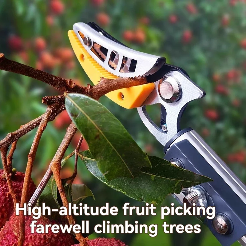 High Branch Shears for Picking Persimmons  Longans  Lychees and Grapefruits Telescopic Extension Poles Garden Tools 2