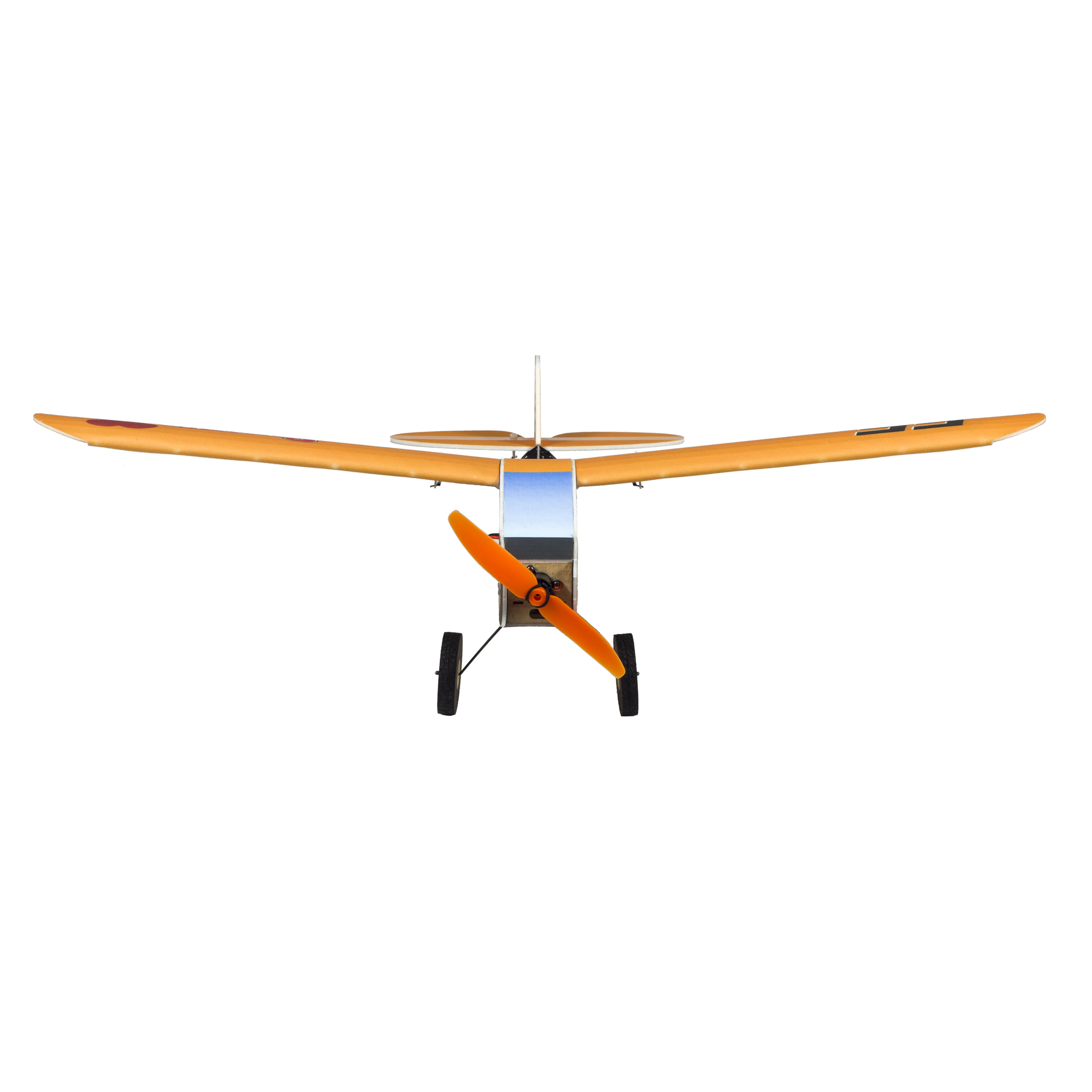 Avion RC Savage Bobber 600mm - Prêt à Voler, 2 Couleurs