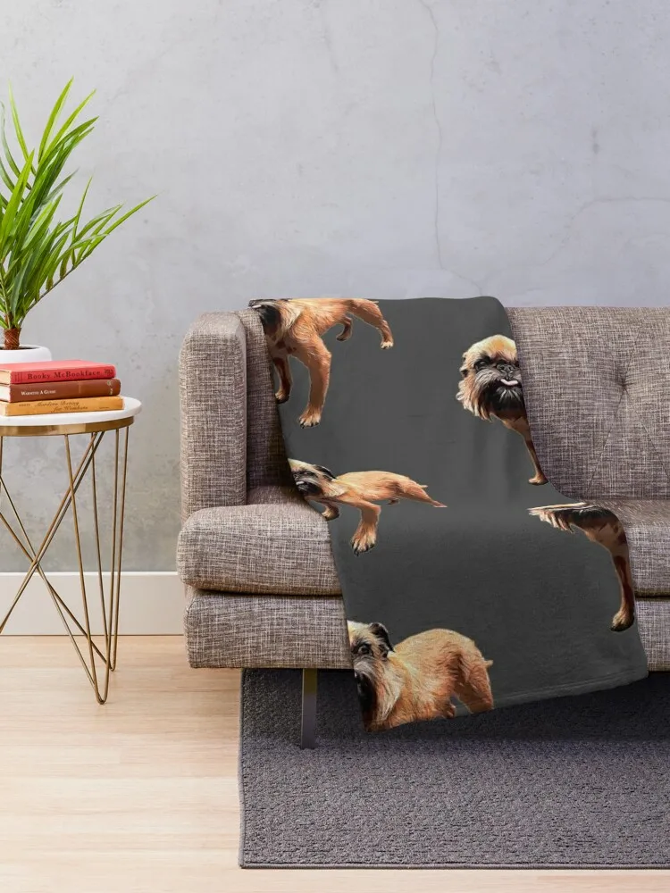 ��� �׸��� �Ϳ��� Briffon bruxellois ���ο� ���, ħ�� ���, �ε巯�� ū ���, ��� ���,  ���