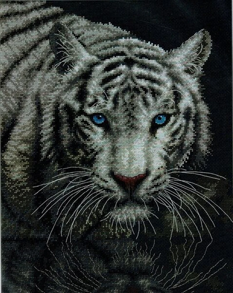 Top Embroidery Into the Light Funny Cross Stitch Kits Australia with Cotton Floss & Needlework for Home Decor
