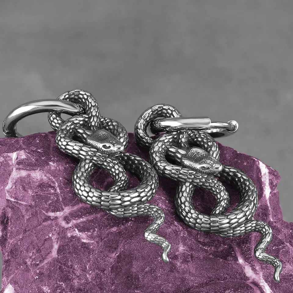 Orecchini A Forma Di Serpente In Acciaio Inossidabile Gotico Per Uomo E Donna Punk